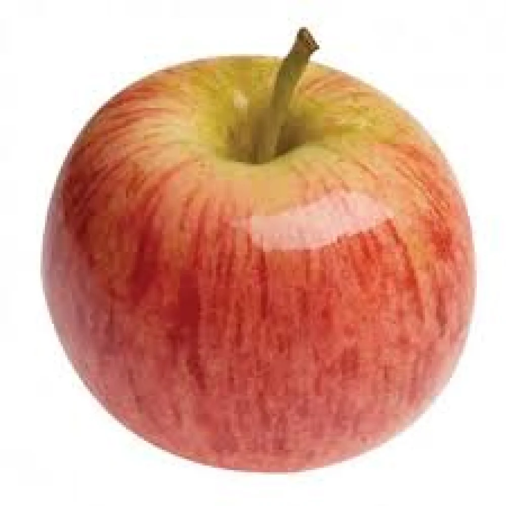 MANZANA GALA 