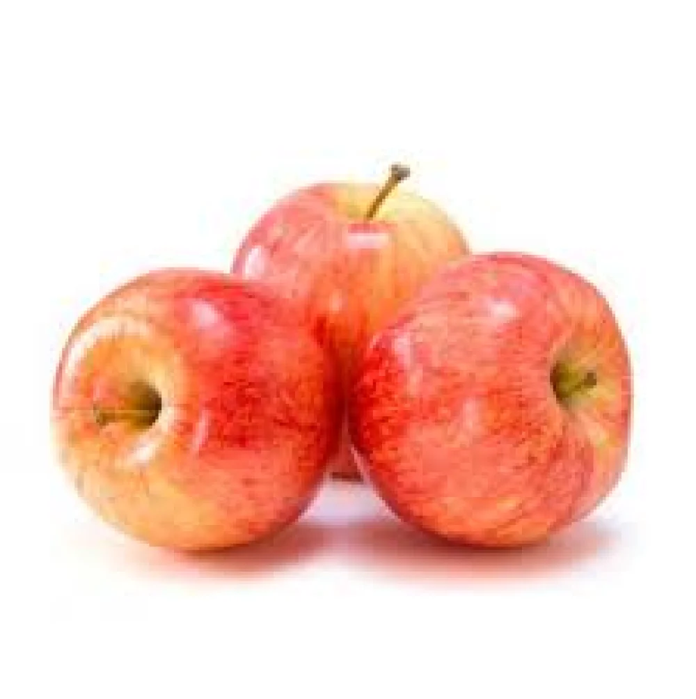 MANZANA GALA  3UND